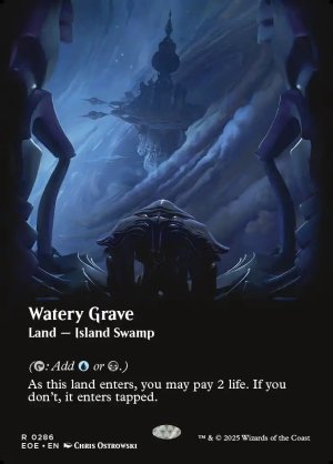 画像2: 湿った墓/Watery Grave