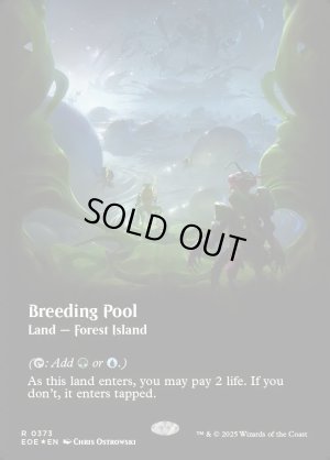 画像2: 繁殖池/Breeding Pool