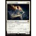 画像1: コスモグランドの頂点/Cosmogrand Zenith (1)