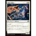 画像1: 双陽の手練れ/Dual-Sun Adepts (1)