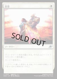 栄誉/Honor