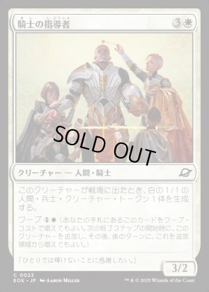 画像1: 騎士の指導者/Knight Luminary