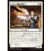 画像1: パルサー戦隊の撃墜王/Pulsar Squadron Ace (1)
