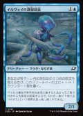 イルヴォイの諜報部員/Illvoi Operative