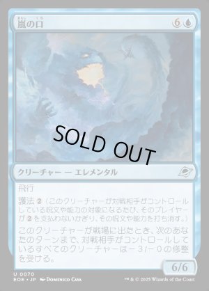 画像1: 嵐の口/Mouth of the Storm