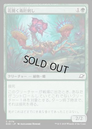 画像1: 花開く毒針刺し/Blooming Stinger