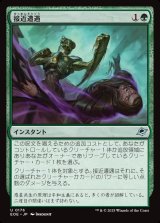 接近遭遇/Close Encounter