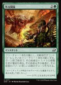 外交関係/Diplomatic Relations
