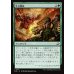 画像1: 外交関係/Diplomatic Relations (1)