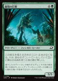 菌類の巨獣/Fungal Colossus