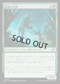 菌類の巨獣/Fungal Colossus
