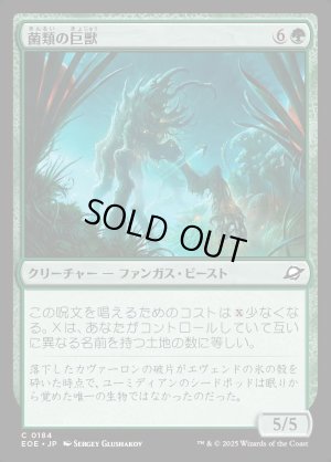 画像1: 菌類の巨獣/Fungal Colossus