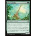 画像1: 調和する木立跨ぎ/Harmonious Grovestrider (1)
