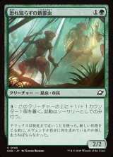 恐れ知らずの新参虫/Intrepid Tenderfoot