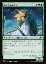 鞭打草の捕食者/Lashwhip Predator