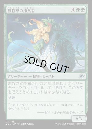 画像1: 鞭打草の捕食者/Lashwhip Predator