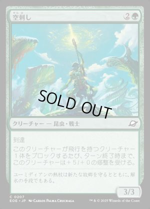 画像1: 空刺し/Skystinger