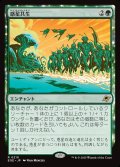 惑星共生/Terrasymbiosis