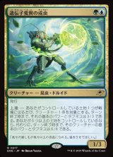 遺伝子変異の成虫/Genemorph Imago