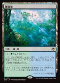 繁殖池/Breeding Pool
