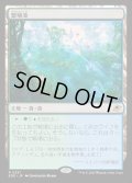 繁殖池/Breeding Pool