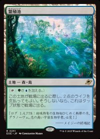 繁殖池/Breeding Pool