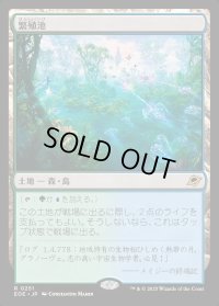 繁殖池/Breeding Pool