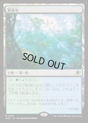 画像1: 繁殖池/Breeding Pool