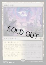 神無き祭殿/Godless Shrine