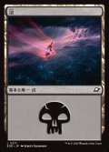 沼/Swamp