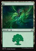 森/Forest