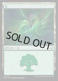 森/Forest