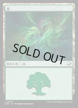 森/Forest