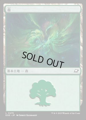 画像1: 森/Forest