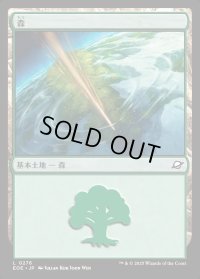 森/Forest