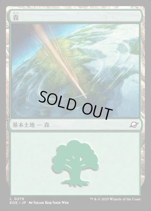 画像1: 森/Forest