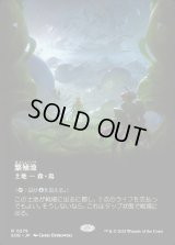 繁殖池/Breeding Pool