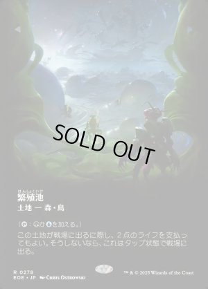 画像1: 繁殖池/Breeding Pool