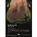 画像1: 踏み鳴らされる地/Stomping Ground (1)