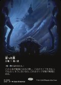 湿った墓/Watery Grave