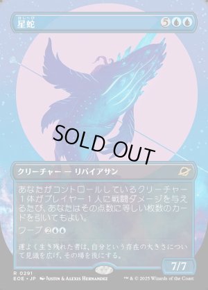 画像1: 星蛇/Starwinder