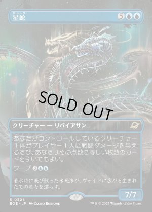 画像1: 星蛇/Starwinder