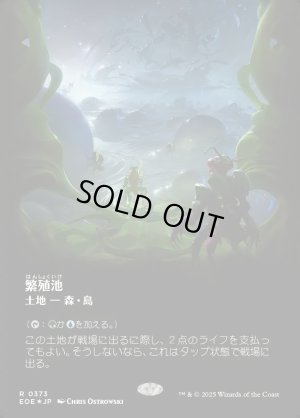 画像1: 繁殖池/Breeding Pool