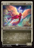 星原の番人/Starfield Shepherd