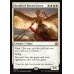 画像2: 永遠曙光の伝令/Herald of Eternal Dawn (2)