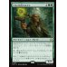 画像1: エルフの大ドルイド/Elvish Archdruid (1)
