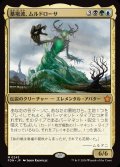 墓場波、ムルドローサ/Muldrotha, the Gravetide