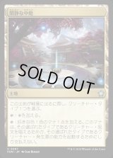 閑静な中庭/Secluded Courtyard