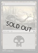 沼/Swamp