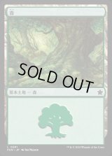 森/Forest